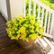 Artificial Flowers for Outdoors Decoration, 12 Bundles Fake Yellow Morning (Yellow) 5"D x 5"W x 4"H